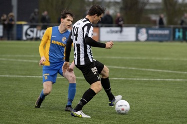 Blauw-Geel 38 - Gemert