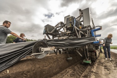 Cerescon demonstreert aspergesteekmachine