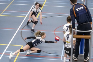 Volleybal Ledub